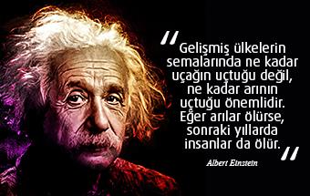 Alber Einstein